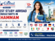 Best abroad consultancy in khammam